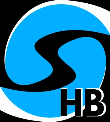 Logo Spay Handball Val de Sarthe