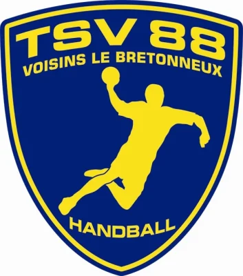 Logo Team Sport Vicinois 88 HB