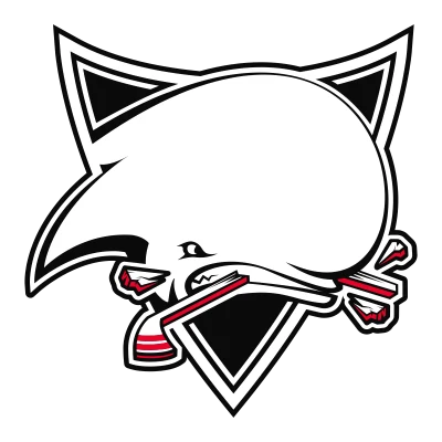 Logo Toulouse Blagnac Hockey Club