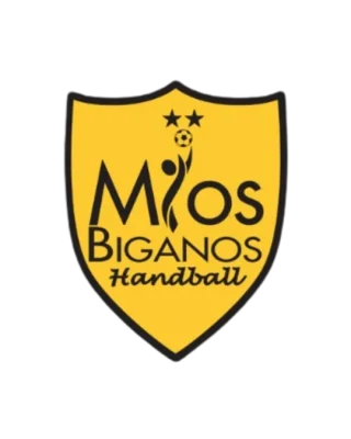 Logo US Mios Biganos