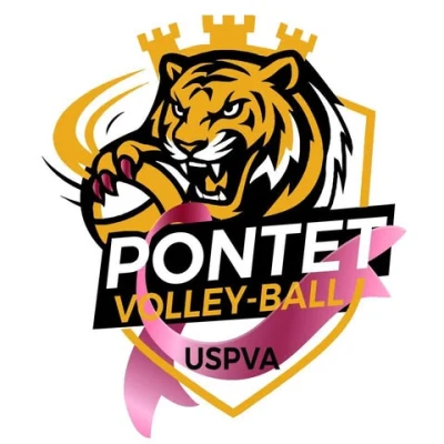 Logo US Pontet Volley Avenir