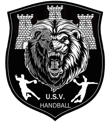 Logo US Villeneuve sur Yonne