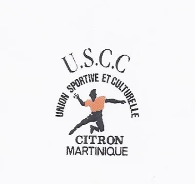 Logo Usc Citron