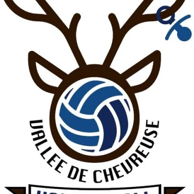 Logo Vallee de Chevreuse Volley Ball