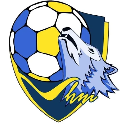 Logo Vallee de la Haute Moselle HBC