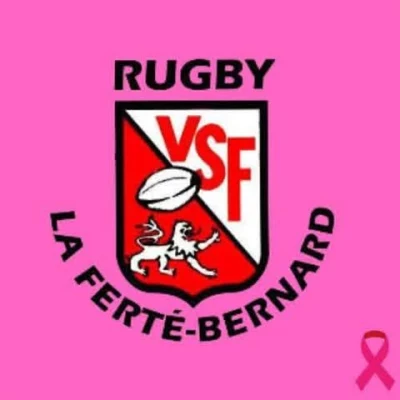 Logo Velo Sport Fertois