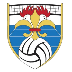Logo Versailles Volley-Ball