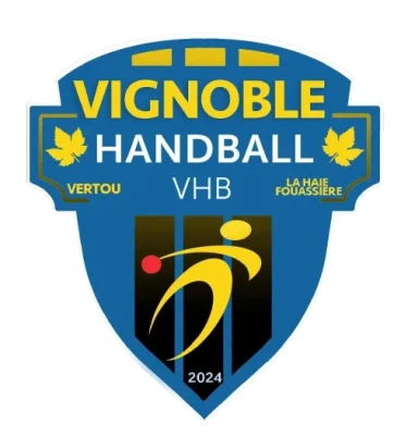 Logo Vignoble Handball