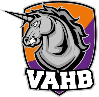 Logo Villeneuve Ablon Handball