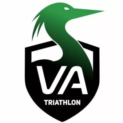 Logo Villeneuve d Ascq Triathlon