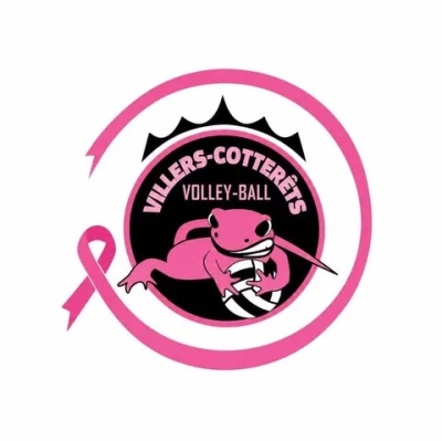 Logo Villers Cotterets Volley Ball