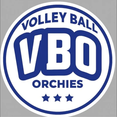 Logo Volley Ball Orchesien