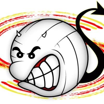 Logo Volley-Ball Seichanais