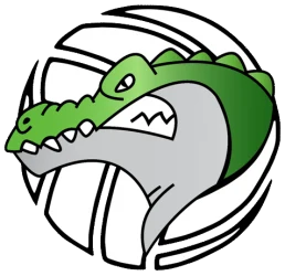 Logo Volley Club Plaisir Villepreux