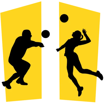 Logo Volley Dol Loisir