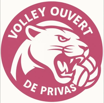 Logo Volley Ouvert de Privas