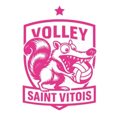 Logo Volley Saint Vitois
