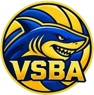 Logo Volley Sud Bassin d'Arcachon