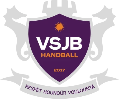 Logo VSJB Handball