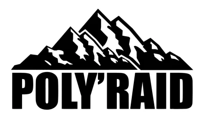 Logo Poly Raid