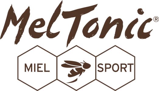 Logo Meltonic