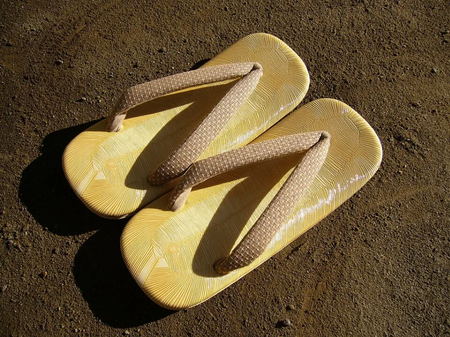 Paire de zooris à semelle plate
